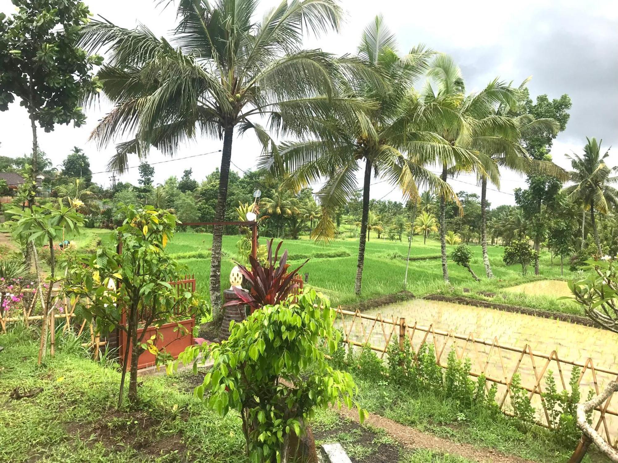 Bello Bungalow Batukliang 外观 照片
