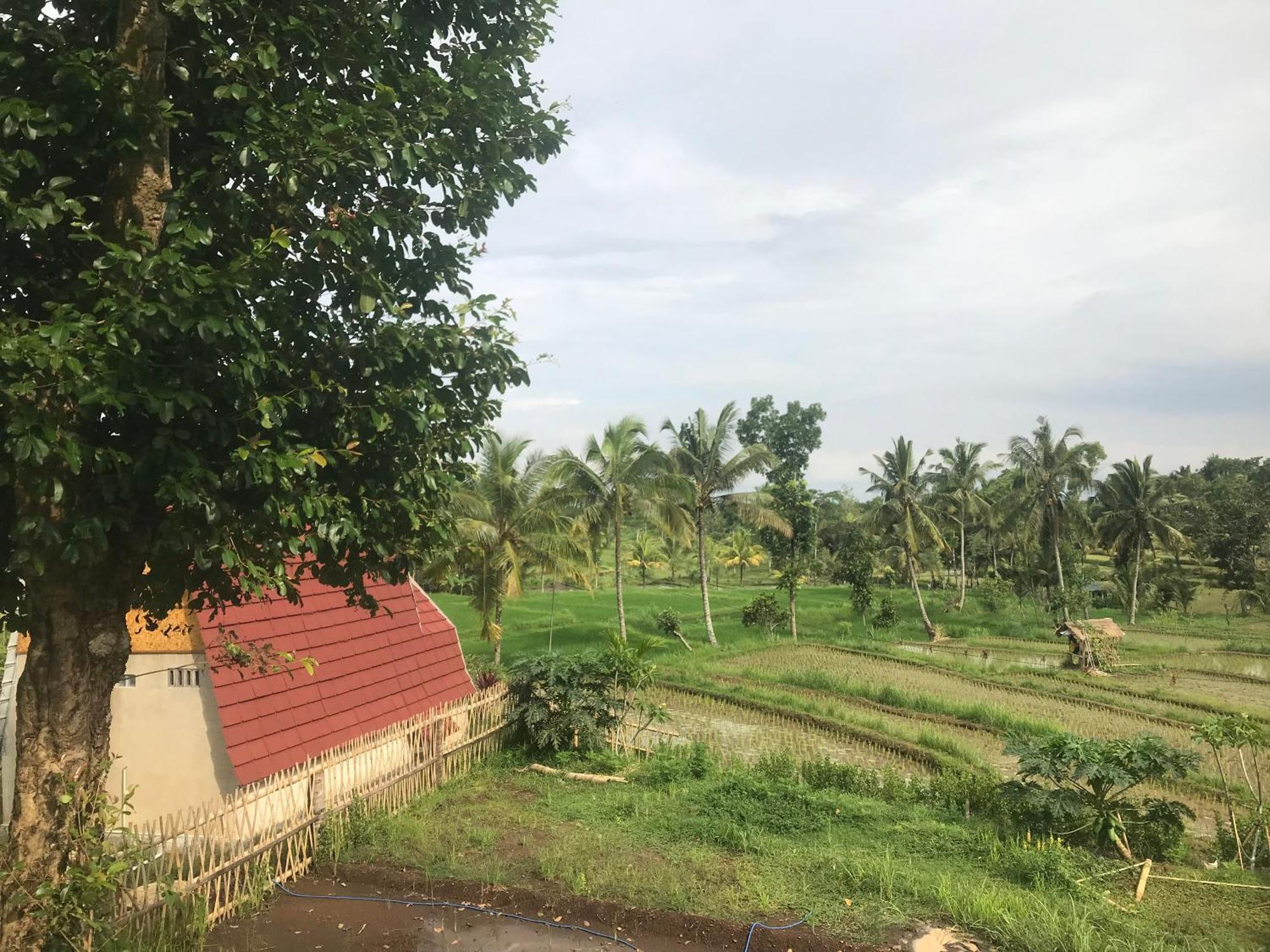 Bello Bungalow Batukliang 外观 照片